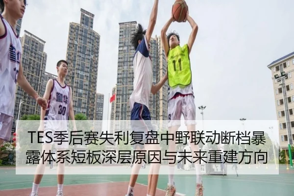 TES季后赛失利复盘中野联动断档暴露体系短板深层原因与未来重建方向 - PGemulator